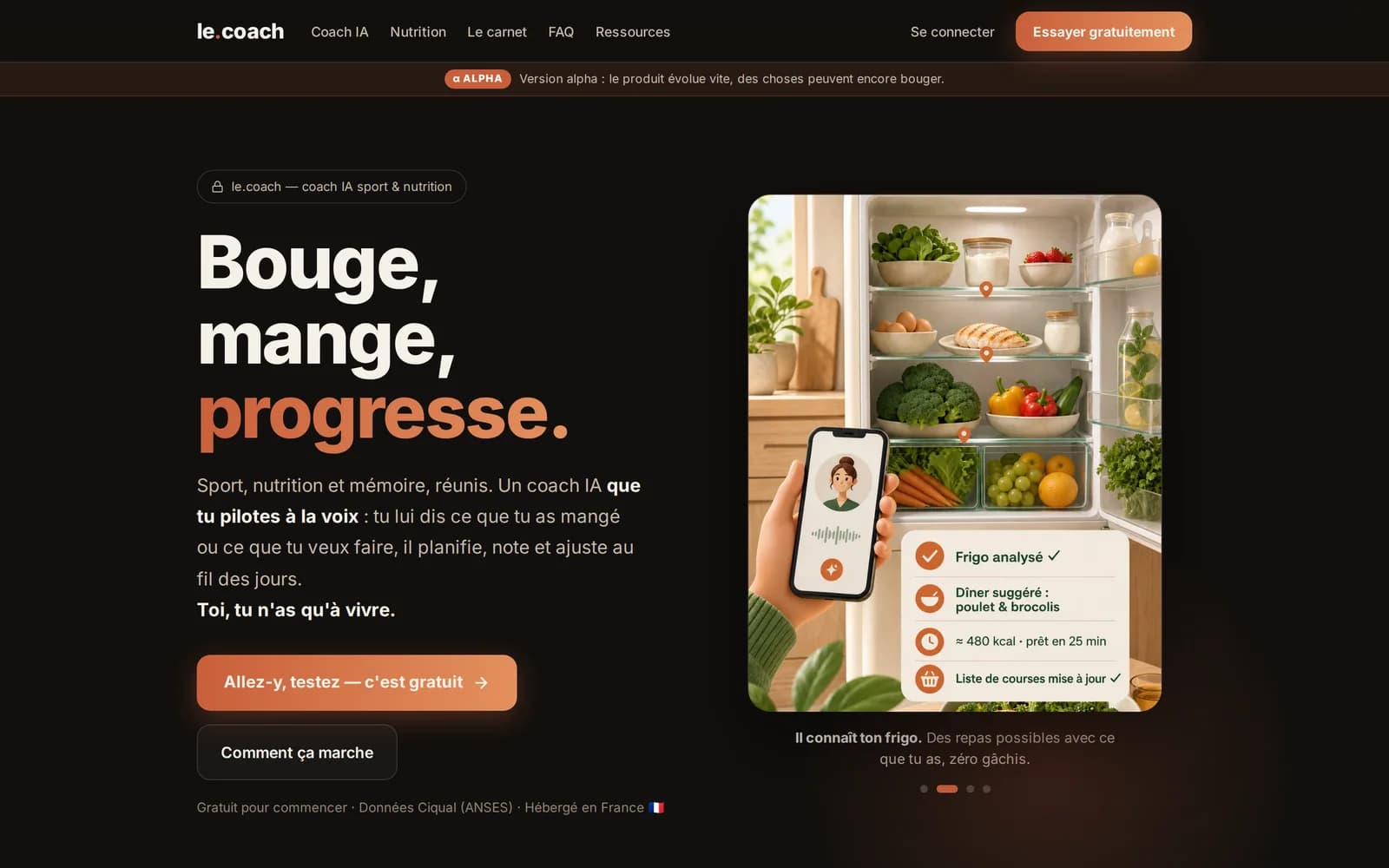 Aperçu du site le.coach